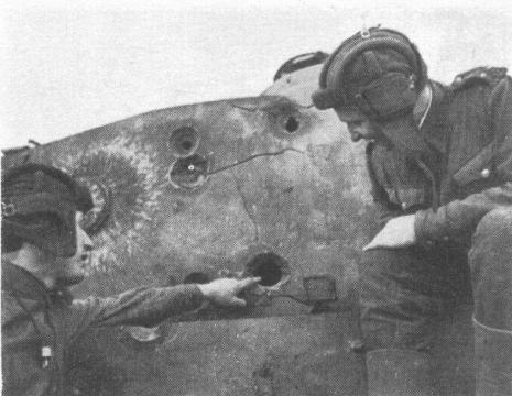 tigturpen.JPG (29846 bytes)