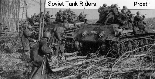 triders.jpg (40498 bytes)