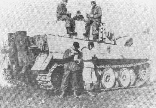 whitetiger.JPG (54691 bytes)